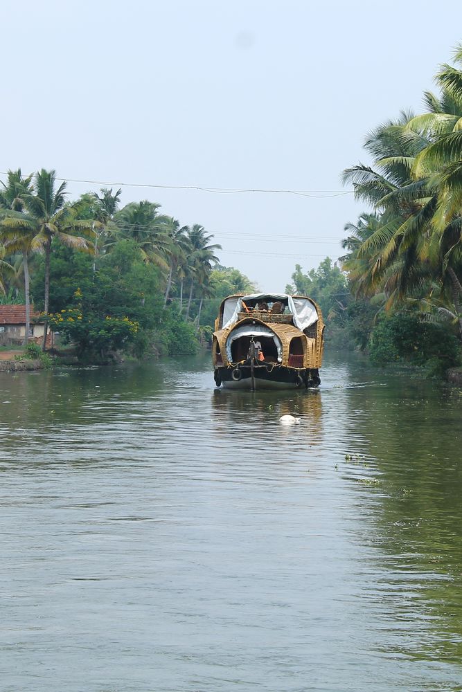 Un houseboat circulant sur les backwaters.