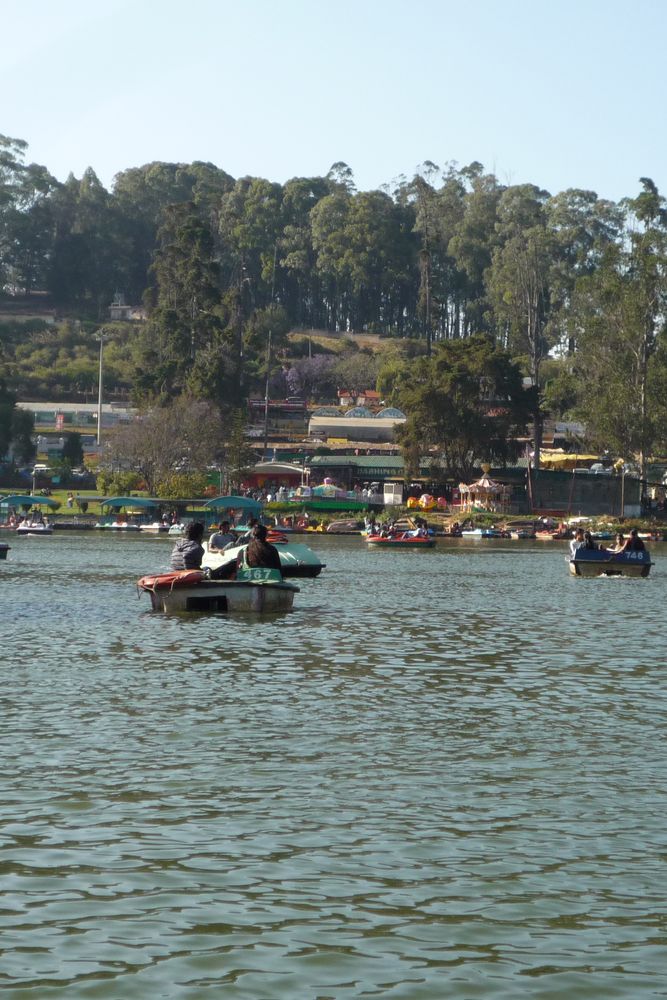 Le lac artificiel d'Ooty est une attraction majeure des Nilgiris.