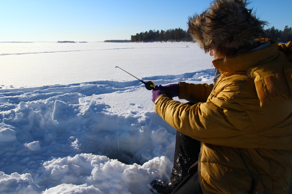 En Laponie, il est facile de pêcher sous la glace.
