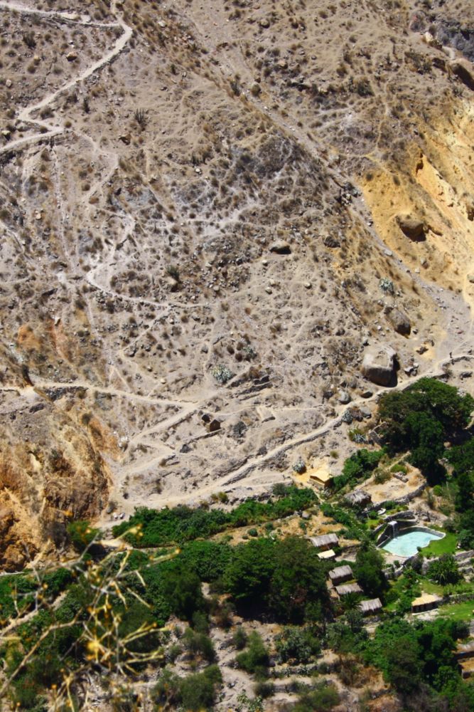 Oasis de Sangalle dans le Canyon de Colca.