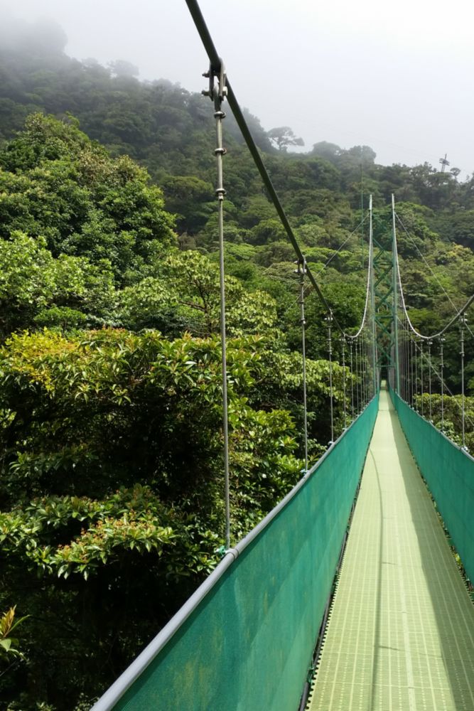 Forêt de nuages de Monteverde.