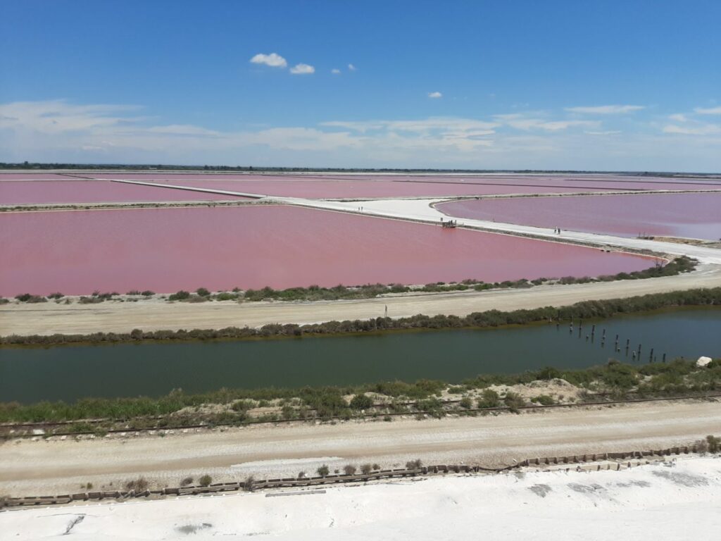 Les Salins d'Aigues-Mortes au mois de juin.