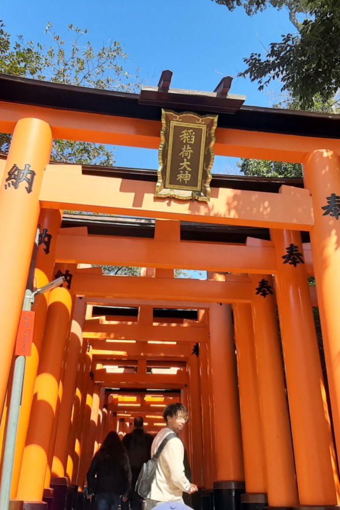 Fushimi Inari compte des milliers de torii.