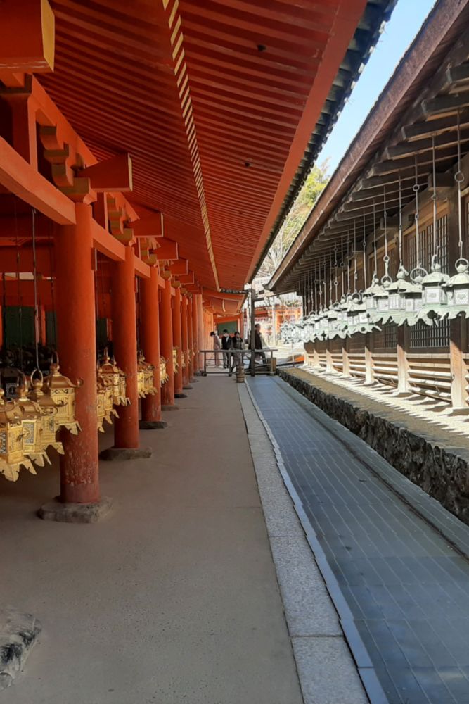 Kasuga-taisha est un magnifique temple de Nara.